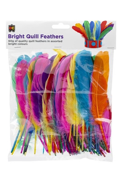 Asst Bright Quill Feathers Pk60gm EC